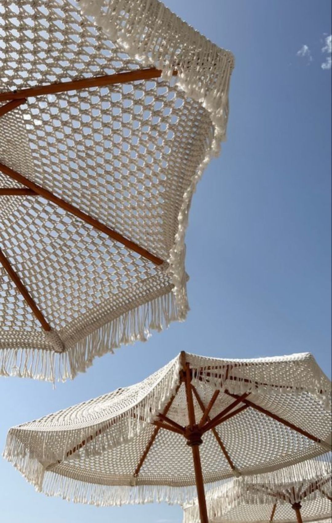 Diseño sin título (8)