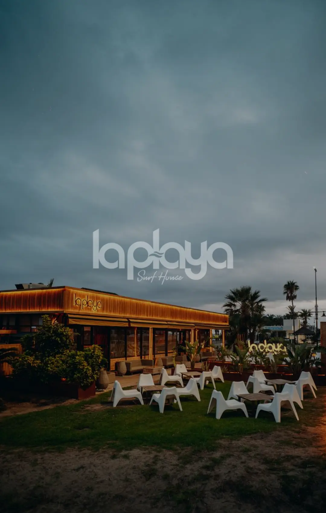 Diseño sin título - 2026-03-12T183647.748