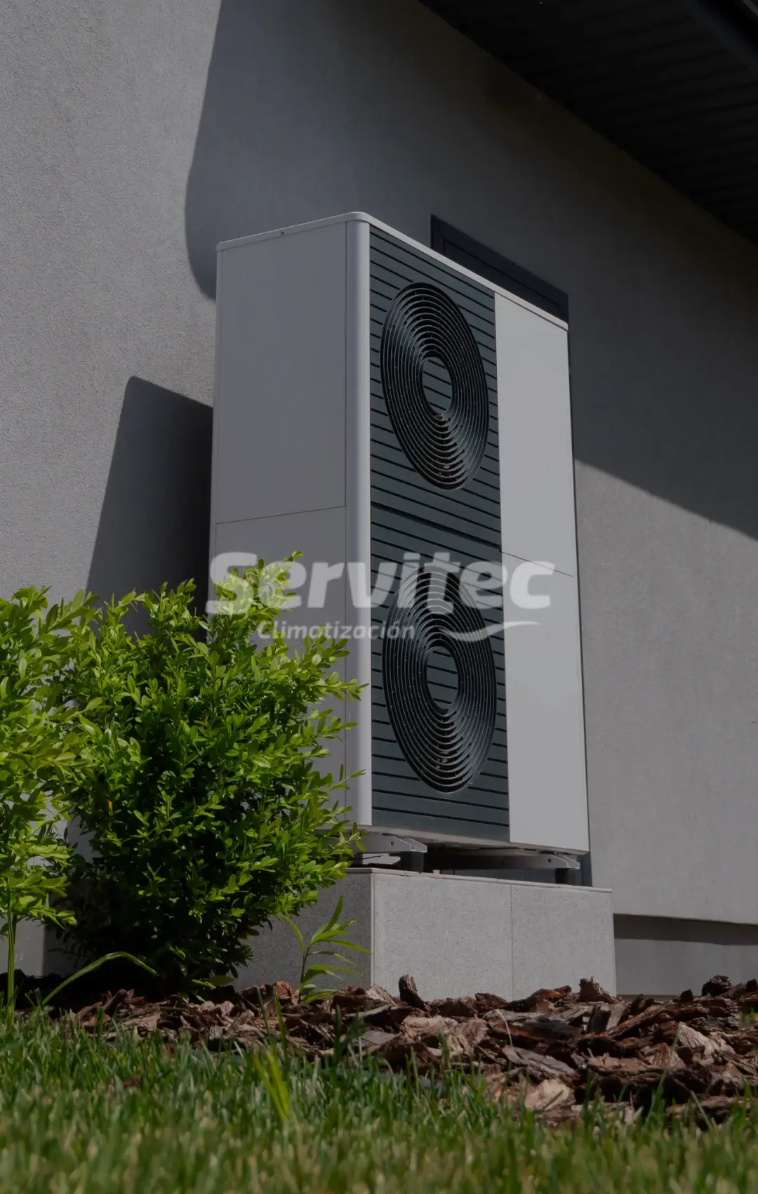 Diseño sin título - 2026-03-12T183821.390