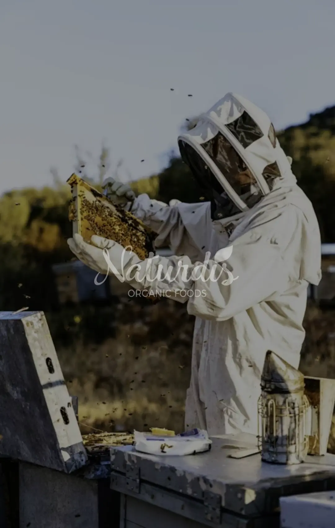 Diseño sin título - 2026-03-12T183847.624